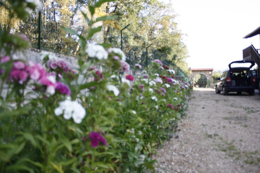 רבנאל דל קמינו Apartamentos Turisticos Las Carballedas מראה חיצוני תמונה